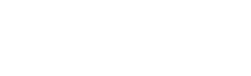 Level Access